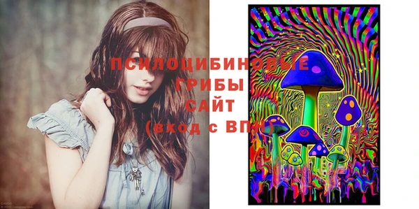 не бодяженный Арсеньев